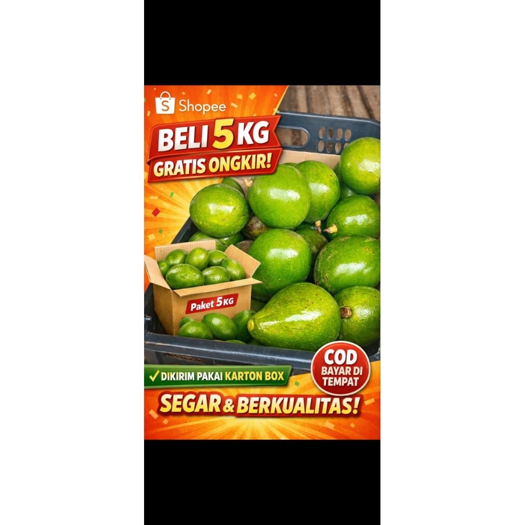 Alpukat mentega grosir dan ecer