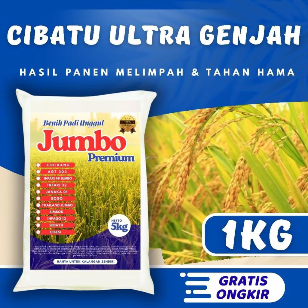 bibit padi benih padi CIBATU ULTRA GENJAH kemasan 5kg