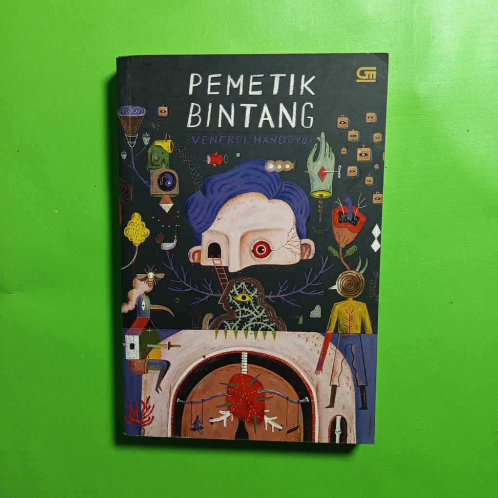 Novel Pemetik Bintang - Venerdi Handoyo