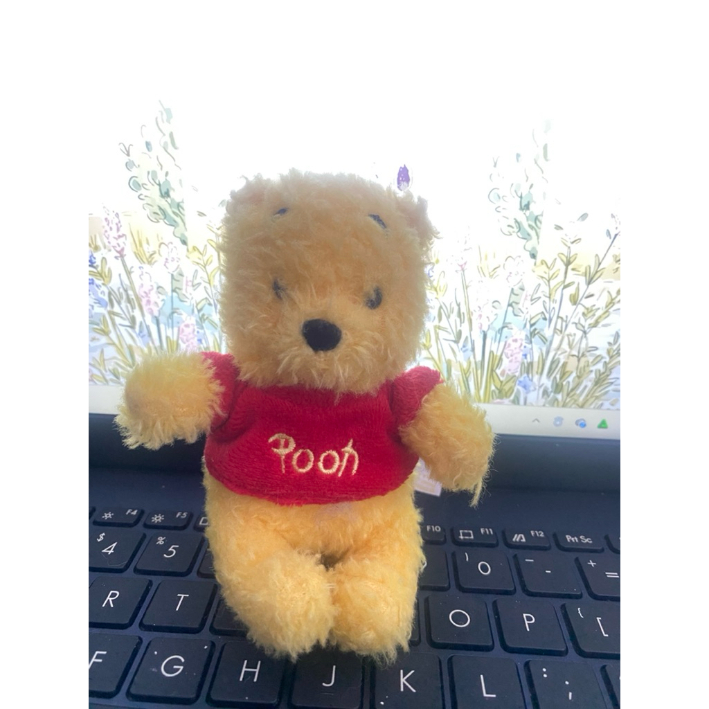 Ganci Pin Winnie The Pooh TDR