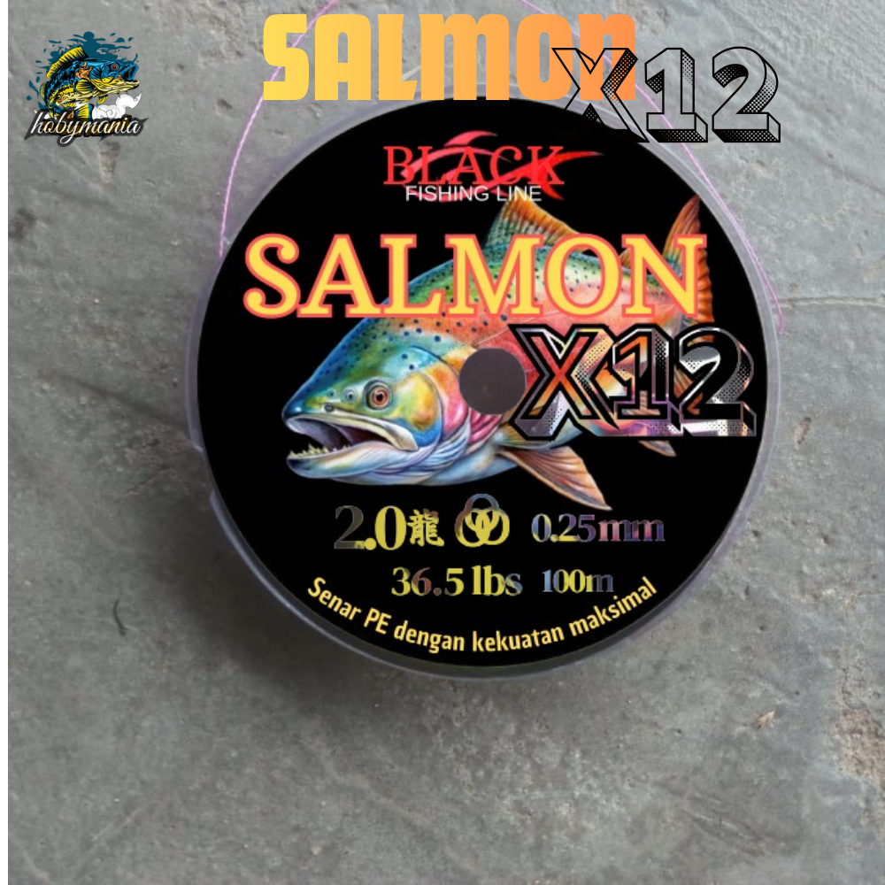 Senar PE SALMON X12 100 Meter PE Black Fishing Line Multicolor