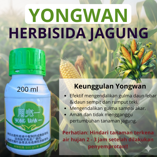 Herbisida Obat Racun Pembasmi Gulma Rumput Liar Yongwan Yong Wan 200ML Pada Tanaman Jagung Aman Ampu