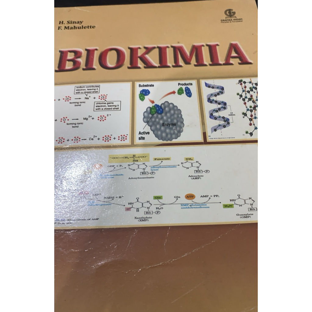 biokimia