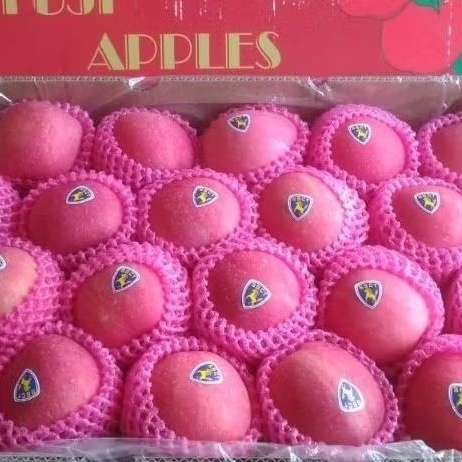 Apel Fuji 1 box 17kg-18kg