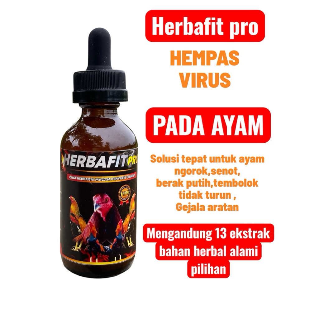 HERBAFIT PRO OBAT AYAM NGOROK SENOT FLU BERAK PUTIH CEKREK GEJALA ARATAN CRD