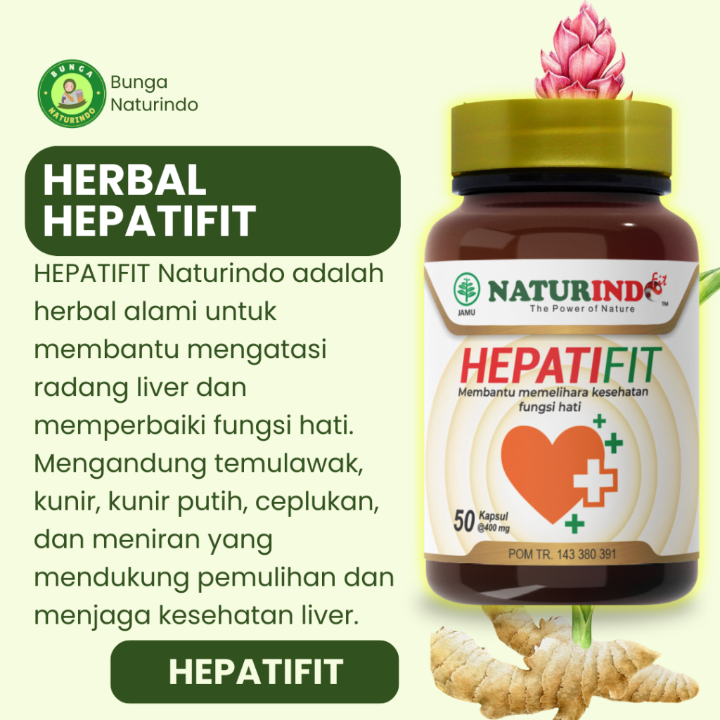 Obat Herbal Hepatifit Membantu Memelihara Kesehatan Hati Herbal Hepatifit Naturindo BPOM
