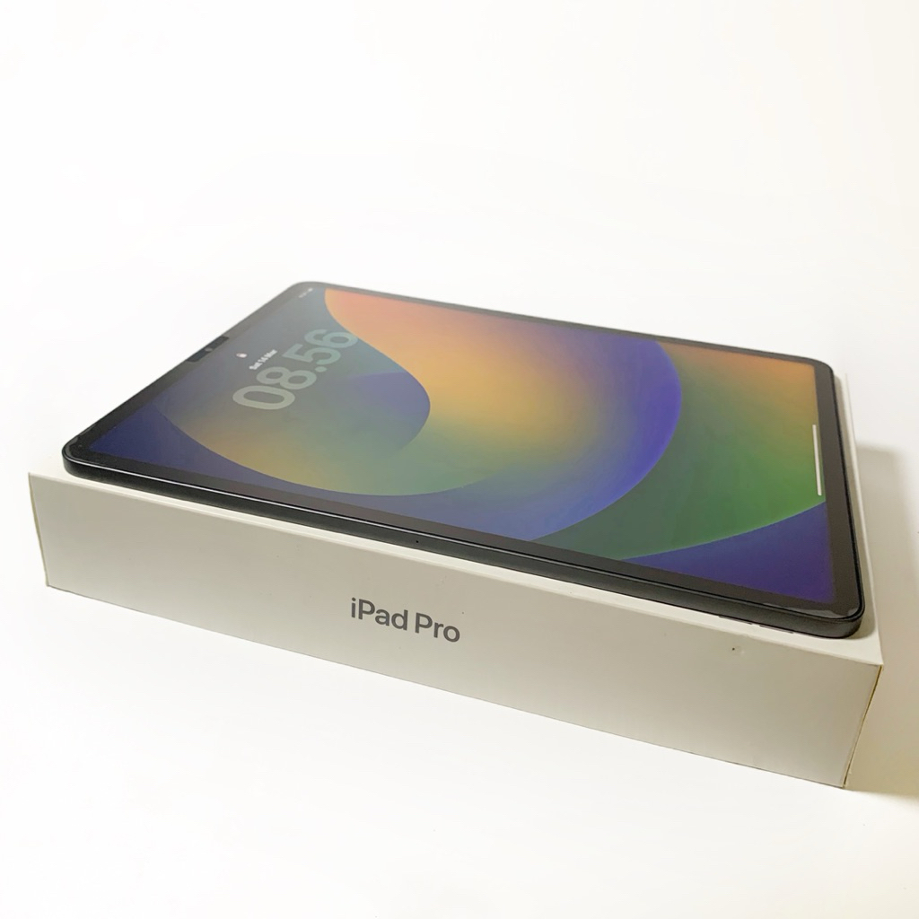 IPAD PRO 12.9 M1 2021 128 inter wifi second/bekas