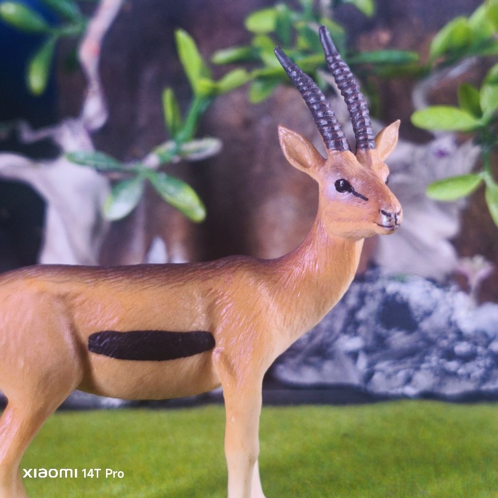 Thomson Gazelle figure antelop