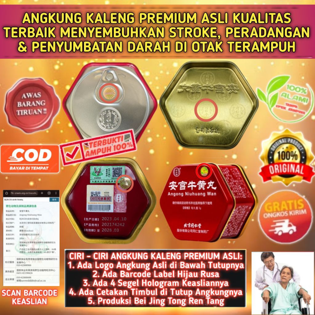 BEST QUALITY - ANGKUNG KALENG PREMIUM ASLI OBAT STROKE BERAT , PARKINSON , EPILEPSI & PERADANGAN OTA