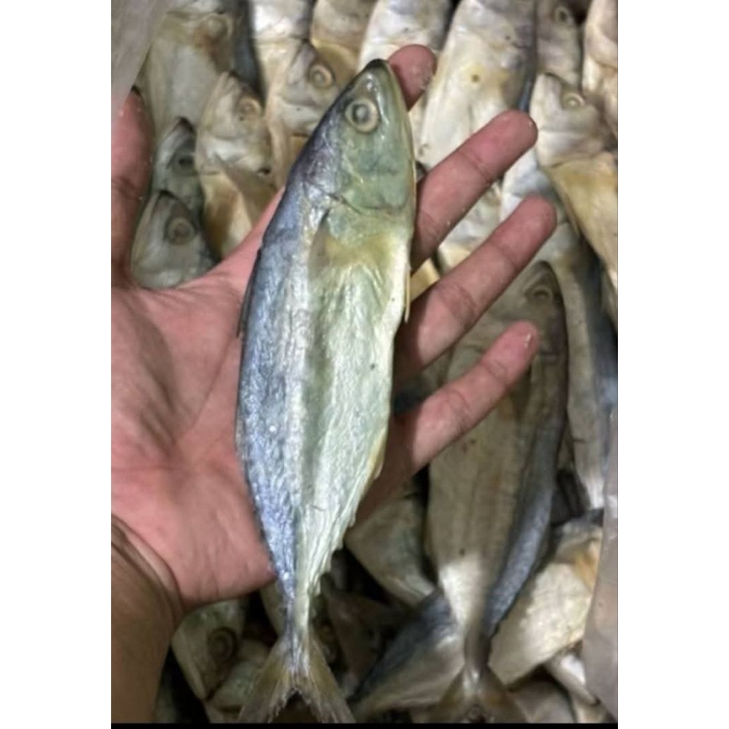 peda asin premium/ikan asin peda asin