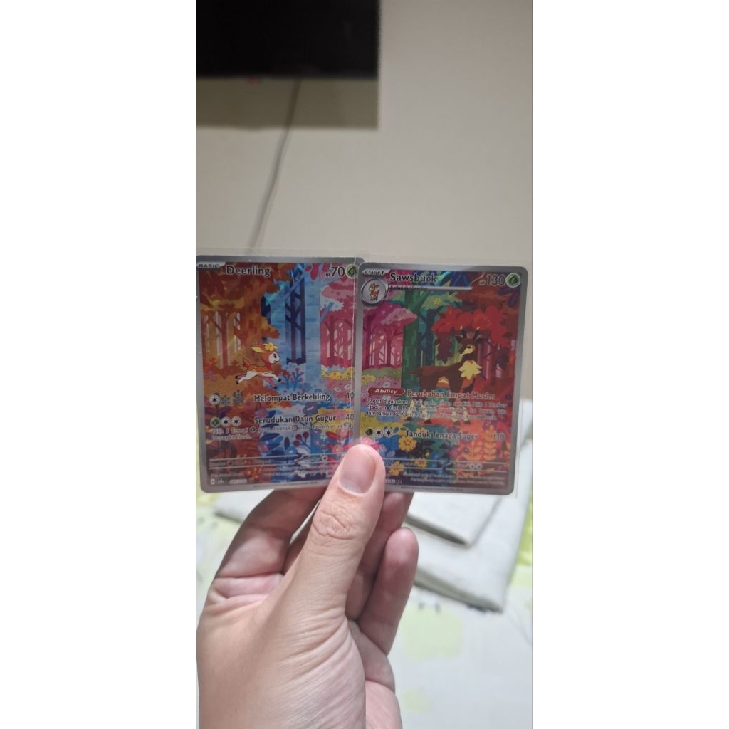 sawbuck deerling AR indonesia