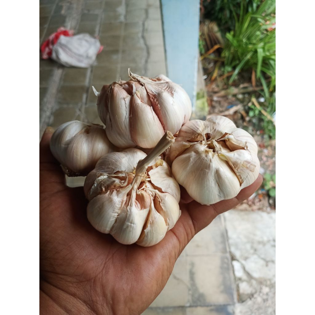 Bawang Putih Super Kering Siung Besar 1kg | Fresh | Kualitas Premium | Harga Murah