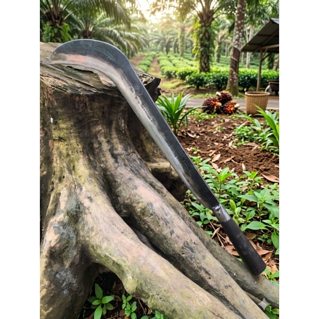 Arit Ndorit Panjang Full Baja Karbon Asli 55 cm - 60 cm - Sabit Rumput Semak Belukar Alat Pertanian 