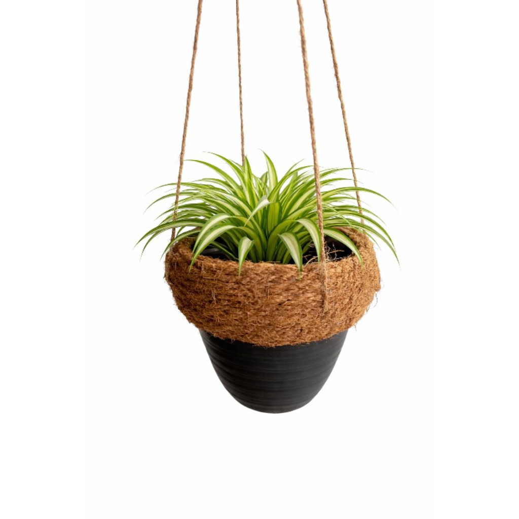 khusus Batam pot cover set bunga