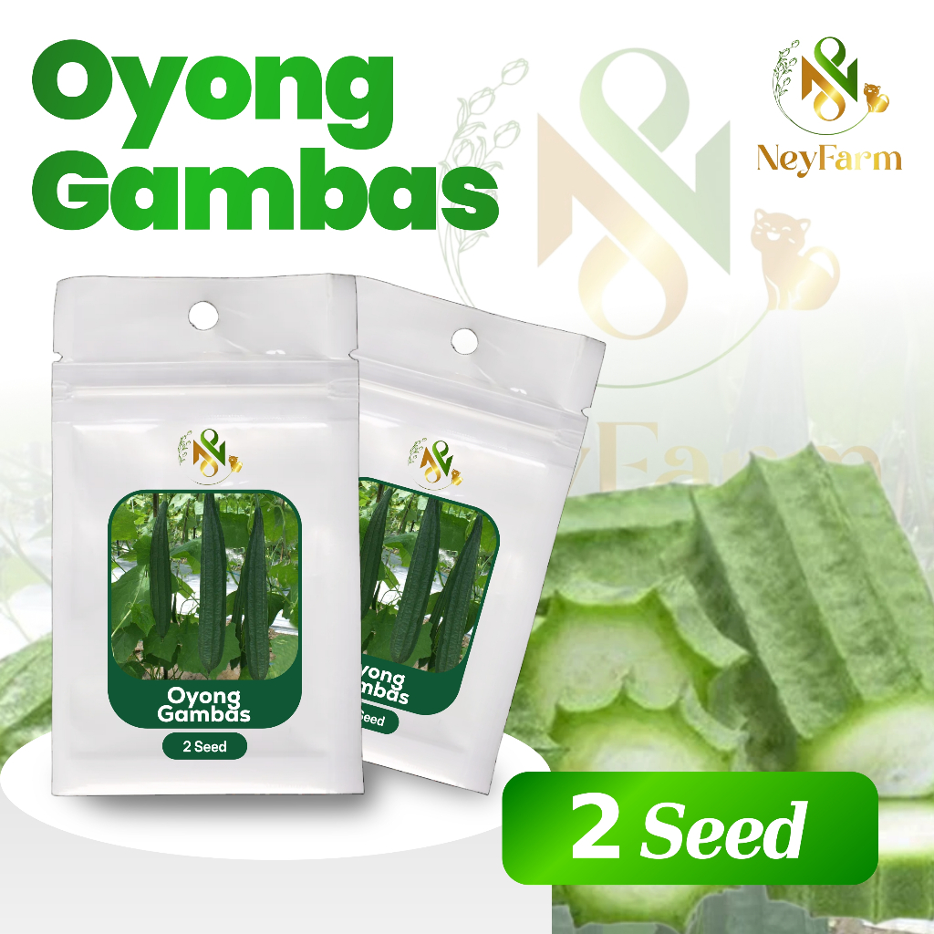 2 Benih Biji Oyong Gambas Carissa