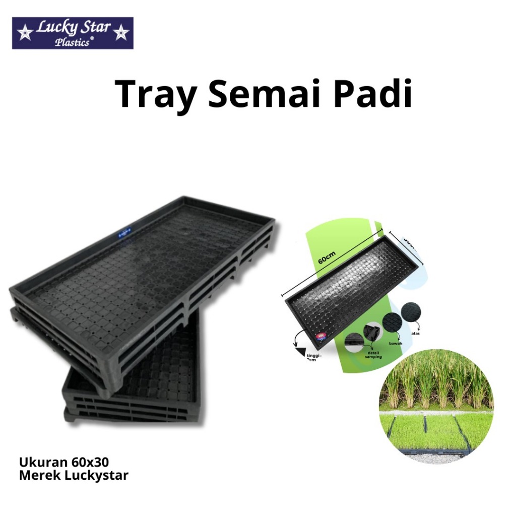Tray Semai Padi Merek Luckystar Tebal-Tray Padi Tebal-Tray Microgreens Murah Tebal