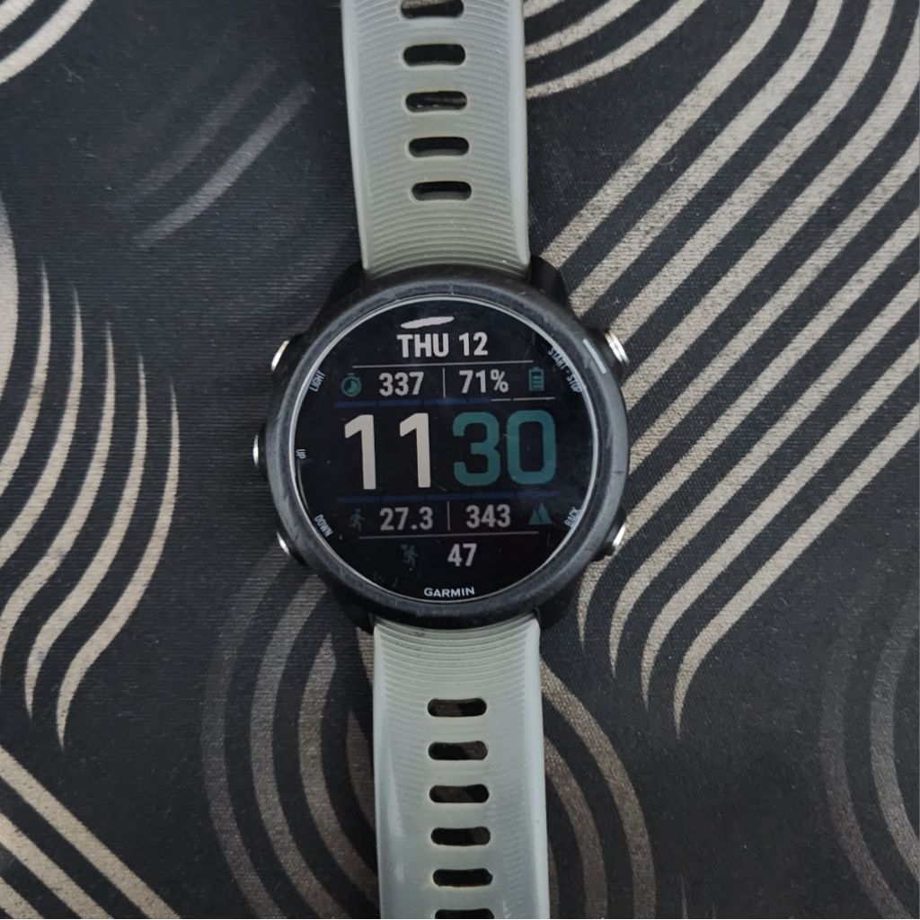 garmin forerunner 245