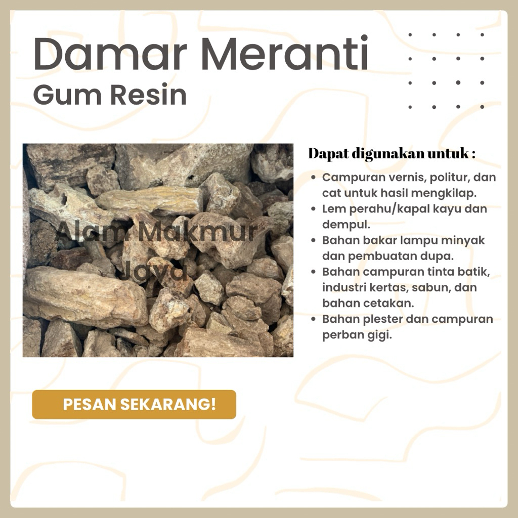 Damar selo batu damar gum resin
