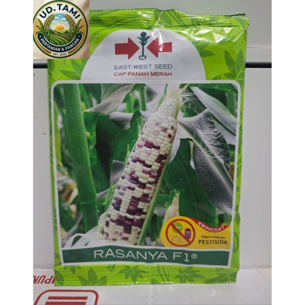 Benih Jagung Pulut Rasanya F1 isi 250 Gram