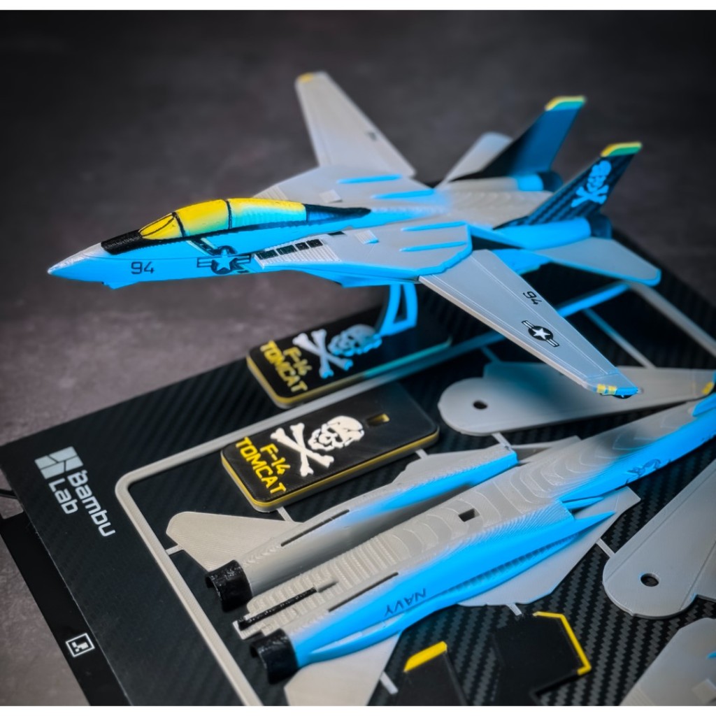 F-14 TOMCAT Plane Kit Card