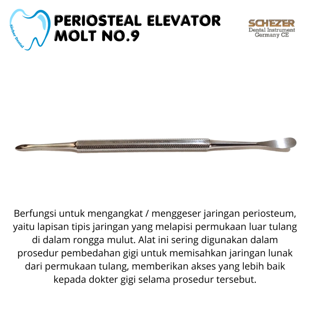 Dental Elevator Periosteal Molt/Rasparatori Molt Schezer - Dental Instrument