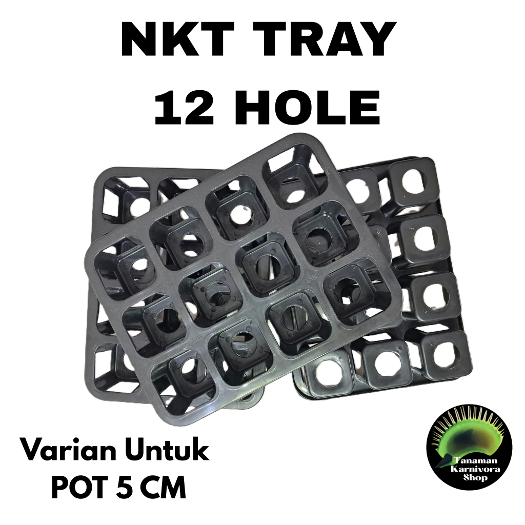 Tray Semai Pot NKT 12 Hole Pot 5 CM Kotak Warna Hitam Bahan Tebal Tray Pot Bibit Benih Nampan Semai 