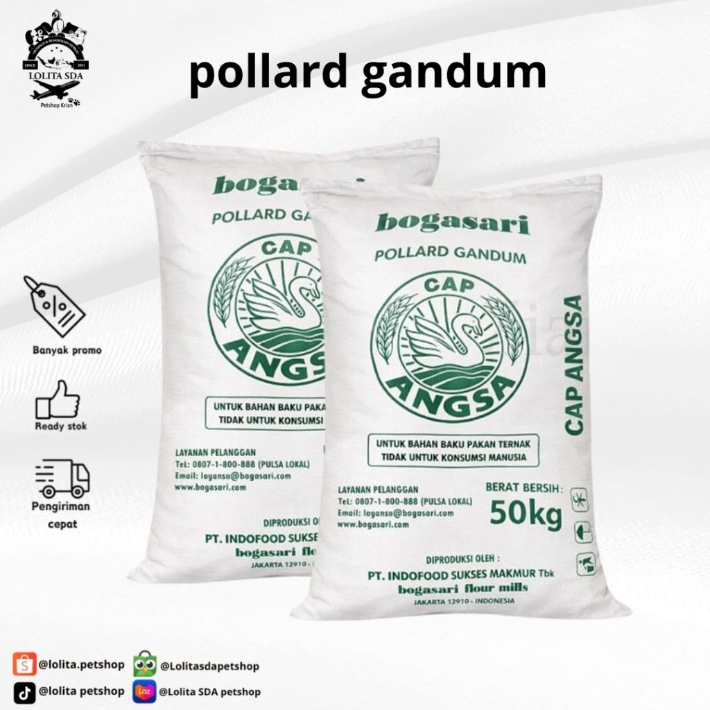 bogasari pollard gandum / polar gandum cap angsa pakan ternak 50kg