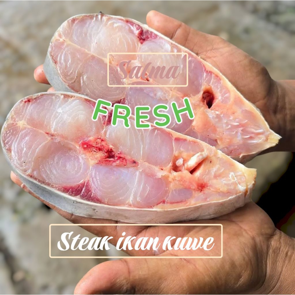 ikan kuwe segar steak ikan kuwe ikan putihan utuh