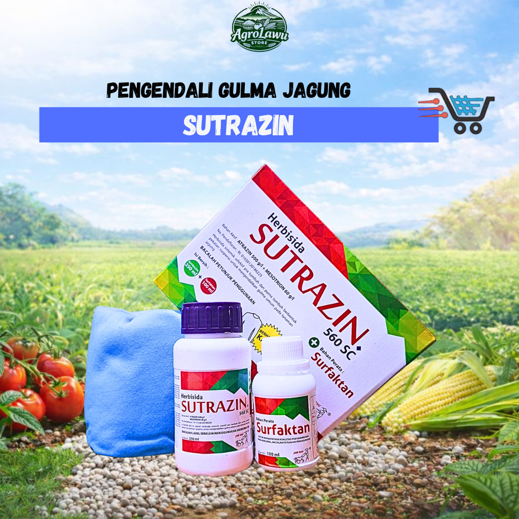 SUTRAZIN 560 SC – Herbisida Selektif Jagung & Pembasmi Biji Gulma