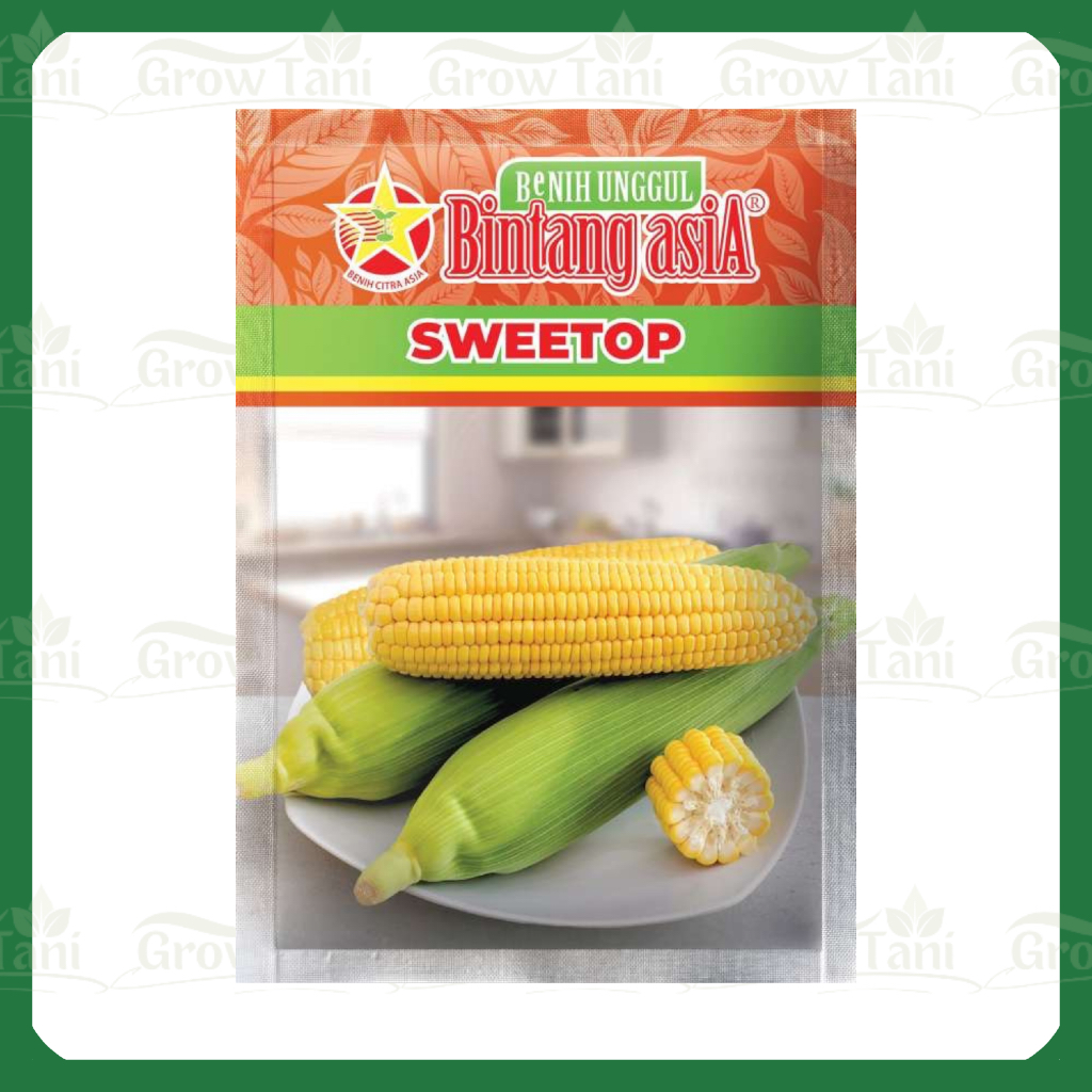 Benih Sweetop (Manise) 250 Gr Jagung Manis Bintang Asia Exotic Paragon