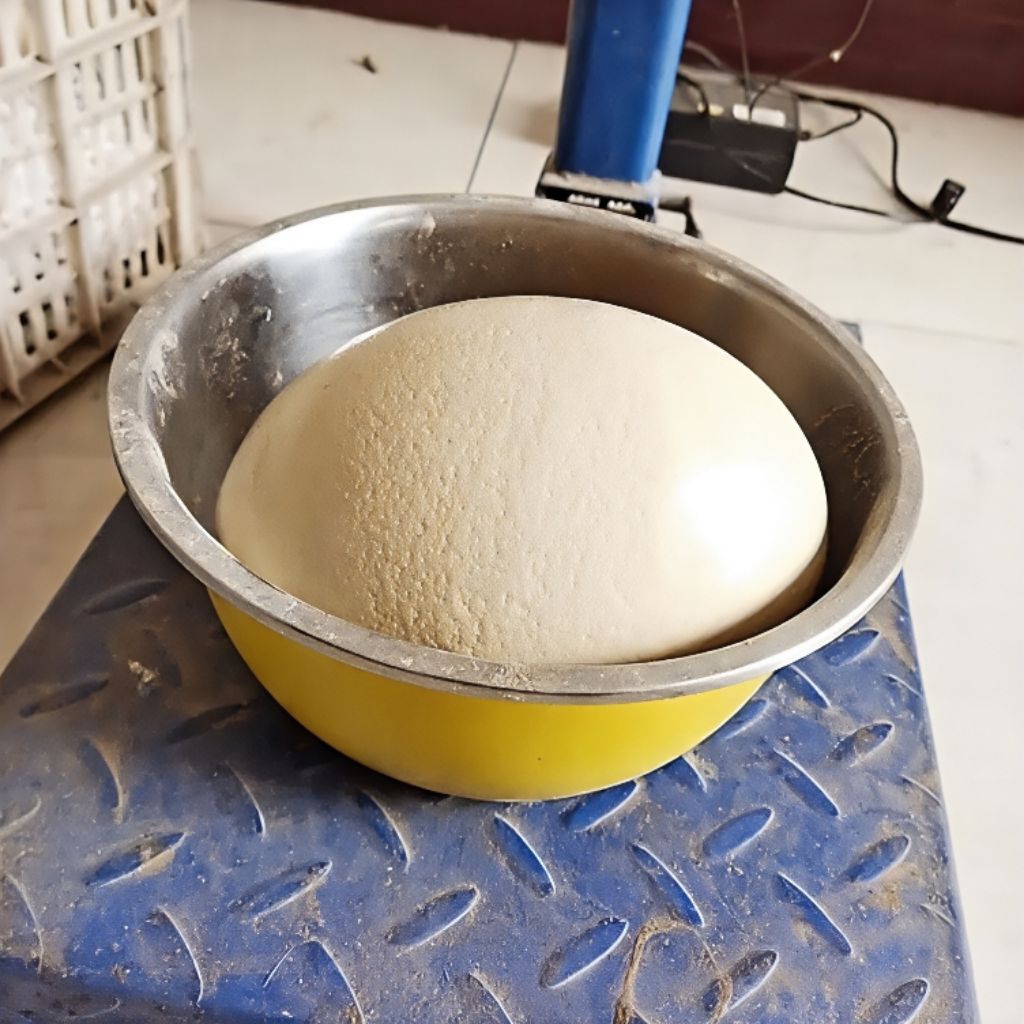 TELUR BURUNG UNTA DIJAMIN ASLI