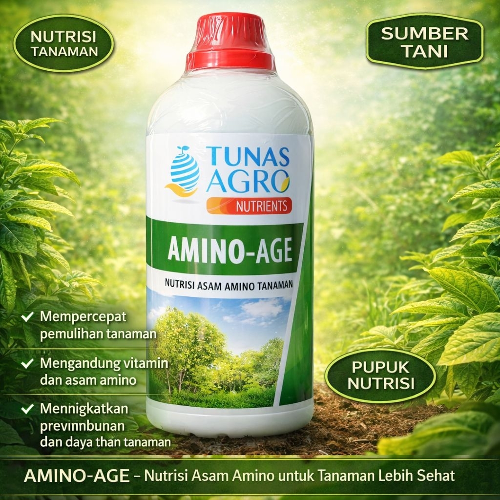 AMINO-AGE