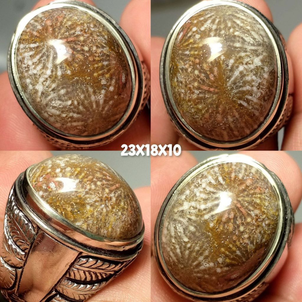 NATURAL TERATAI LIPAN COKLAT