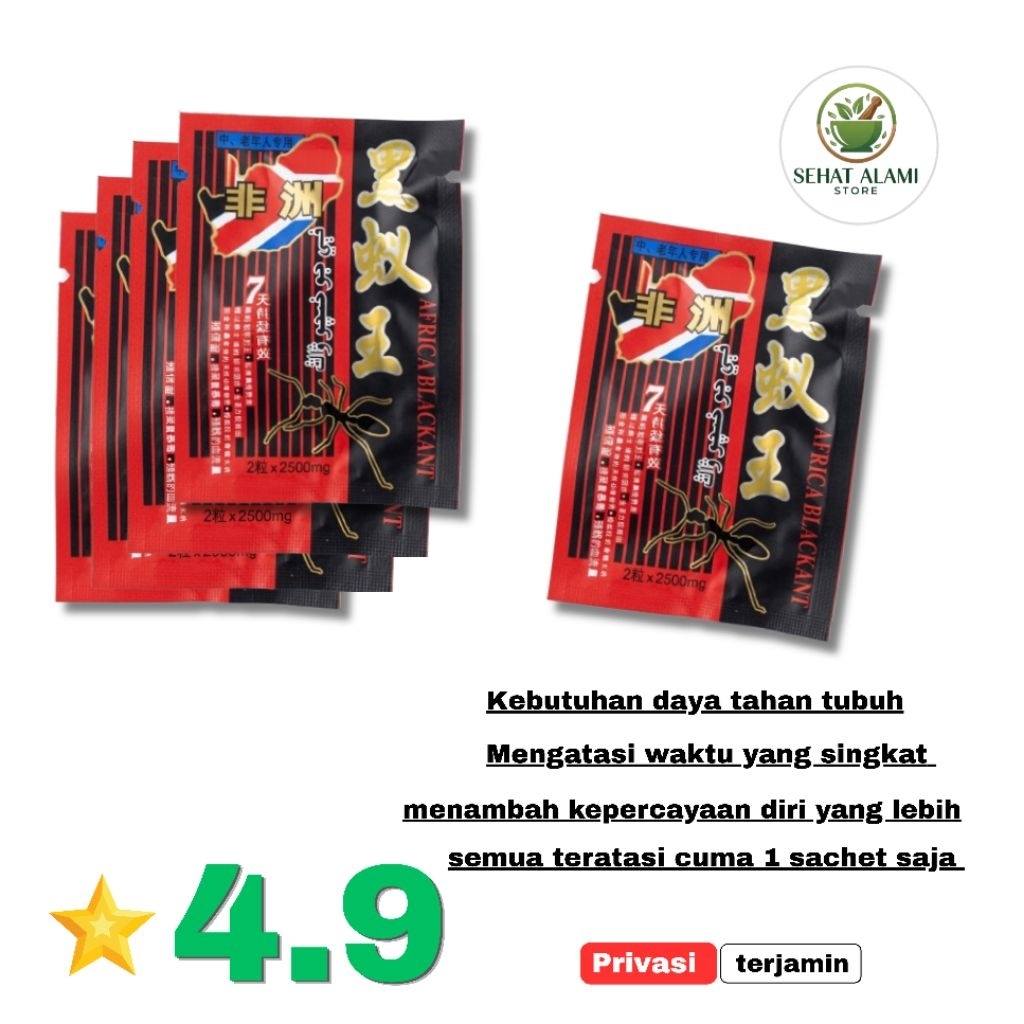 semutSACHET hitam afrika kebutuhan daya tahan tubuh