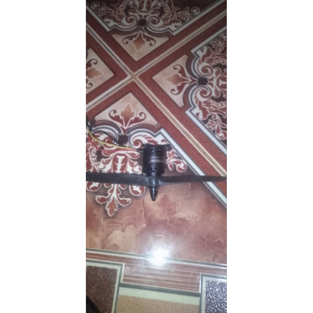 motor brueshless DXW D2212 2450 KV  dongxingwei