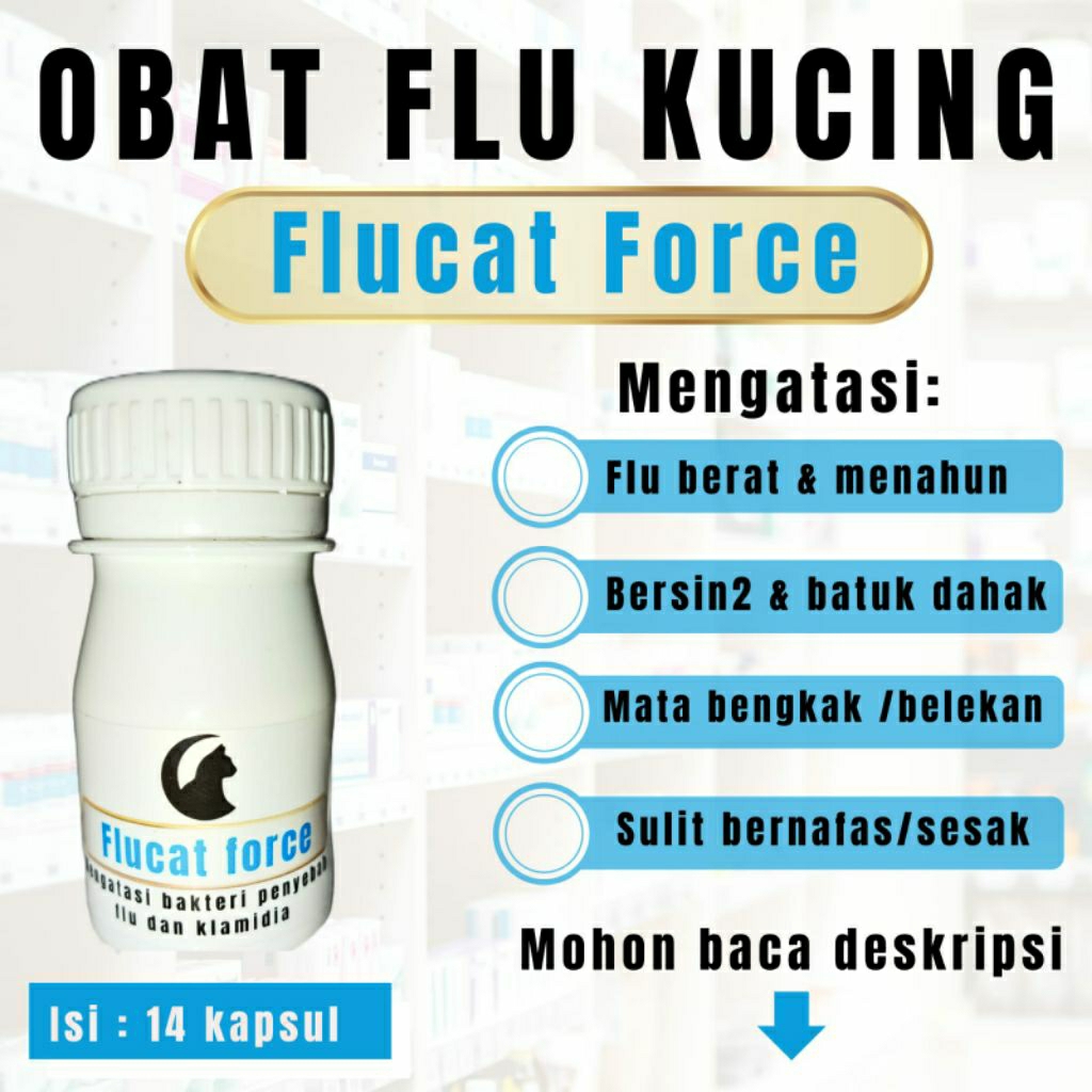 FLUCAT FORCE OBAT FLU KUCING