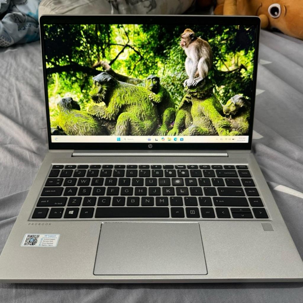 Laptop Hp Probook 445 G8 AMD Ryzen 7 5800U RAM 16GB SSD NVME 256 Murah Garansi