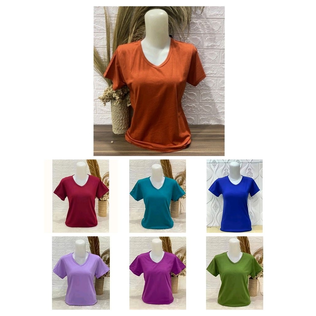 [New] Atasan Kaos Wanita Leher V Neck Coklat Bata Terracotta