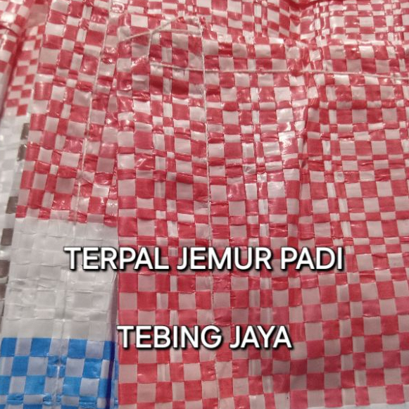 Terpal Jemur Padi 6x8 Meter Terpal Hamparan Jagung