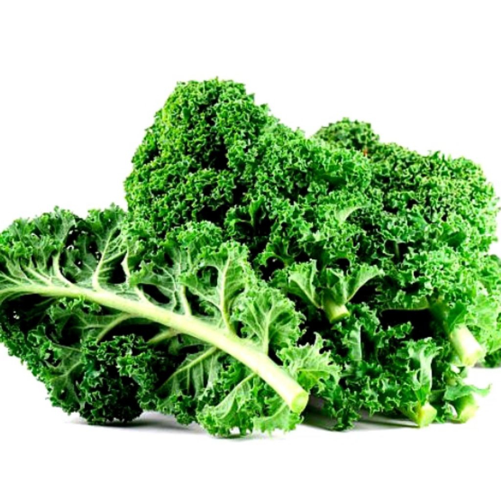 20 biji benih sayur kale