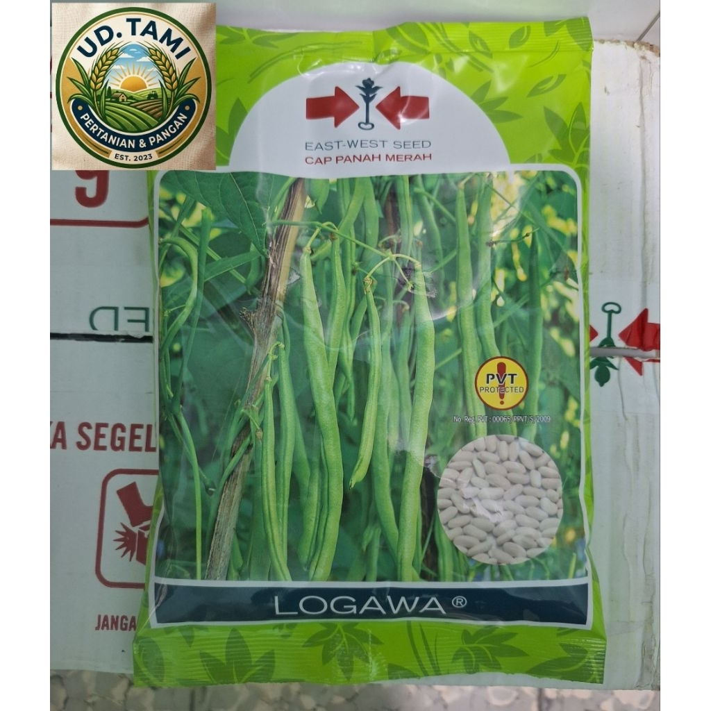 Benih Buncis Logawa isi 500 Gram
