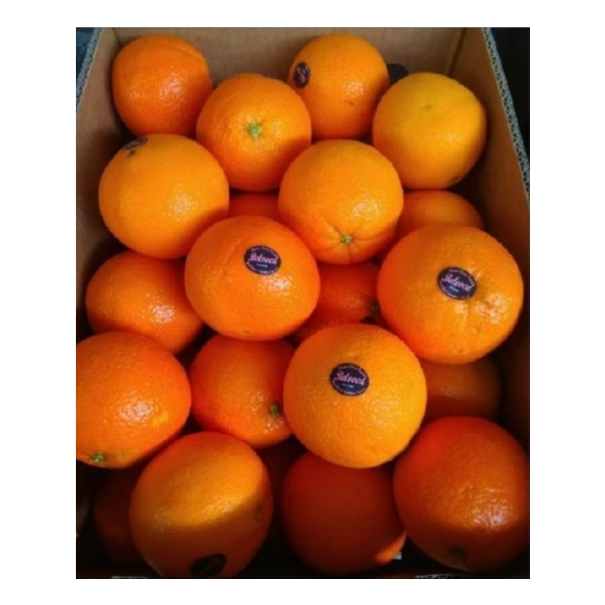 Jeruk Sunkist Navel Premium Orange sunkist import 1 dus ready