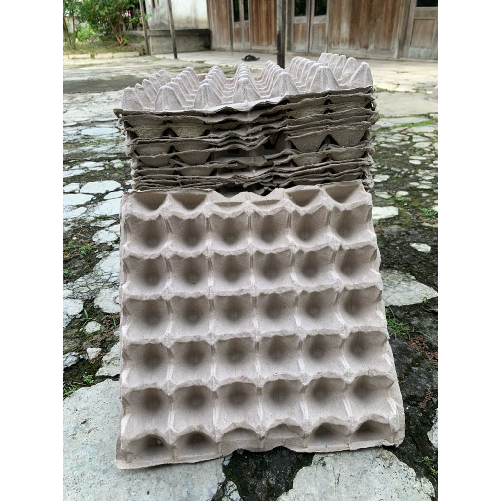 tray karton ayam | egg tray ayam/bebek | wadah telur ayam paket 10 lembar