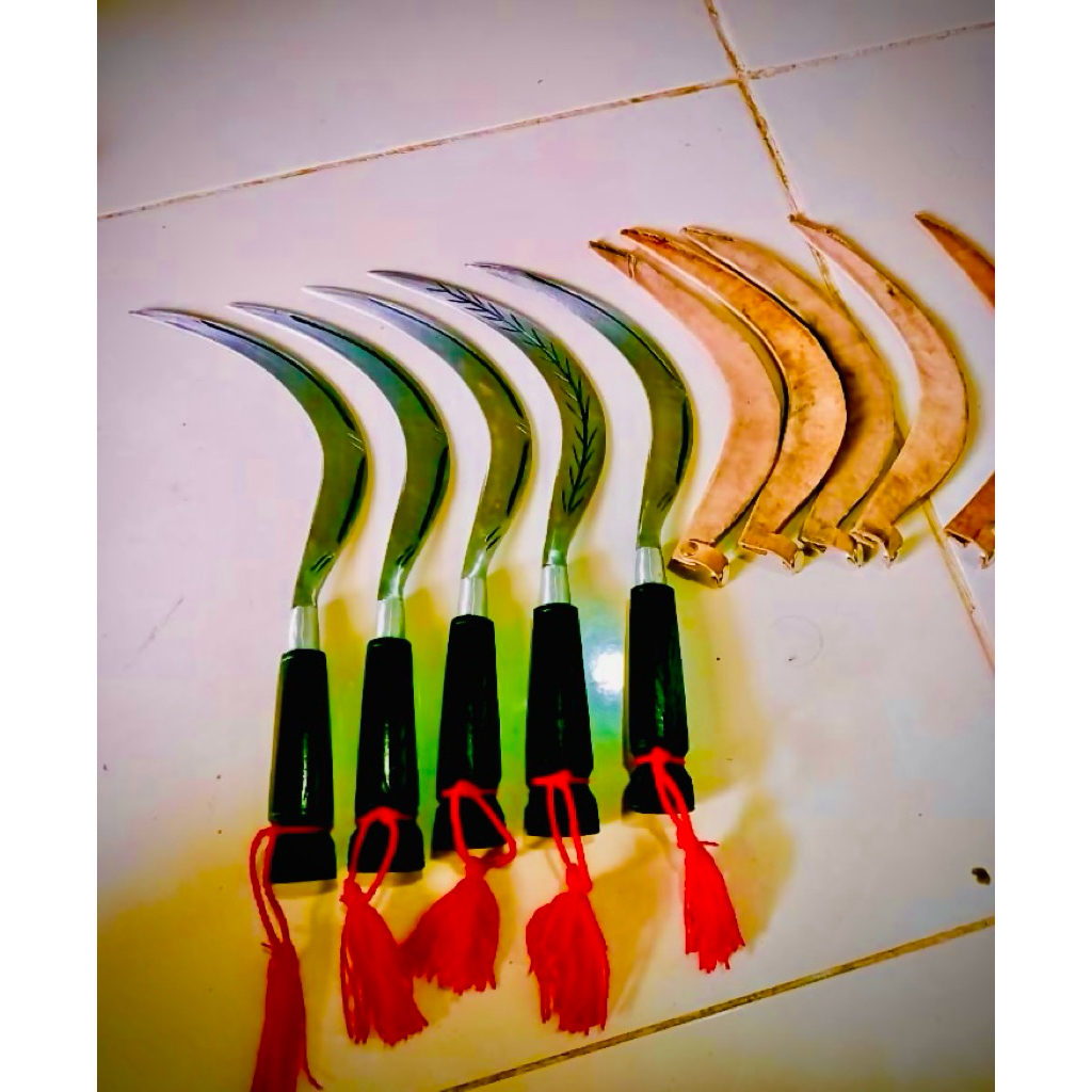 Arit serbaguna khas madura lengkap dengan sarung kulit uk 35cm