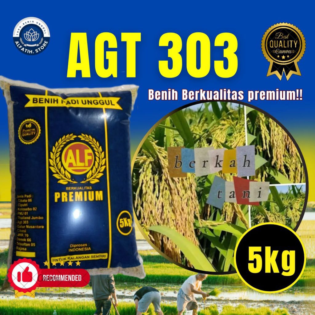 benih padi unggul Agt303 original 5kg