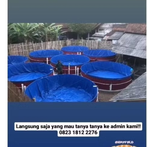 D3 Kolam bulat fullset semikaret orchid