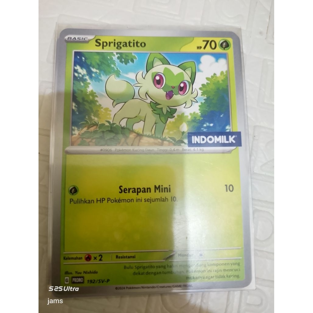 Pokemon Sprigatito indomilk ind