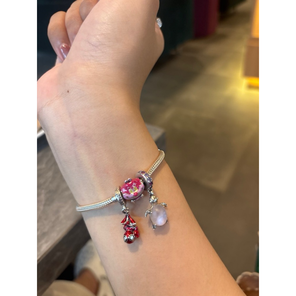co pl charms pandora