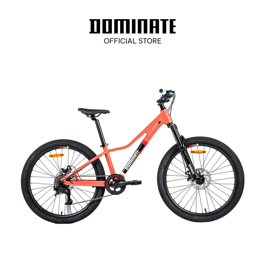Sepeda mtb anak Dominate A-One 24 inch 8 Speed