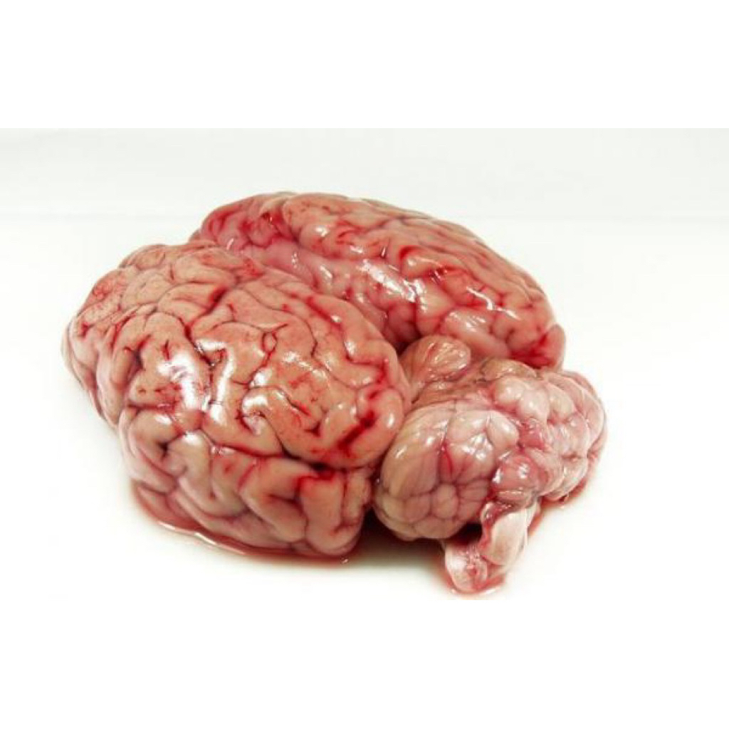 Otak Sapi Fresh 1 Pcs